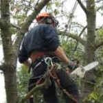 Chain Saw Accident Causes Compound Fracture to Leg